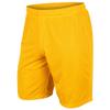 Dynamic Tricot Mesh Shorts, 9" Inseam, Adult Large, Gold view 2