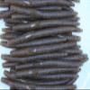 5" Pumpkinseed Stick Baits Wacky Plastic Worms Bass Fishing 50 Pack view 1