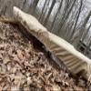 Cypress Rowe Outfitters Nature Proof 16 '17' 18' Canoe / Kayak Cover for Outdoor Storage, fits 15'5" to 16' to 17' to 18' canoes and kayaks view 1