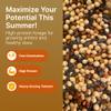 HIT LIST SEED Summer Food Plot Seeds for Deer - Annual Mix - High Protein - Soybeans, Sunflowers, Cow Peas, Buckwheat - 10 lbs view 2