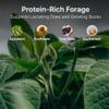 HIT LIST SEED Summer Food Plot Seeds for Deer - Annual Mix - High Protein - Soybeans, Sunflowers, Cow Peas, Buckwheat - 10 lbs view 3