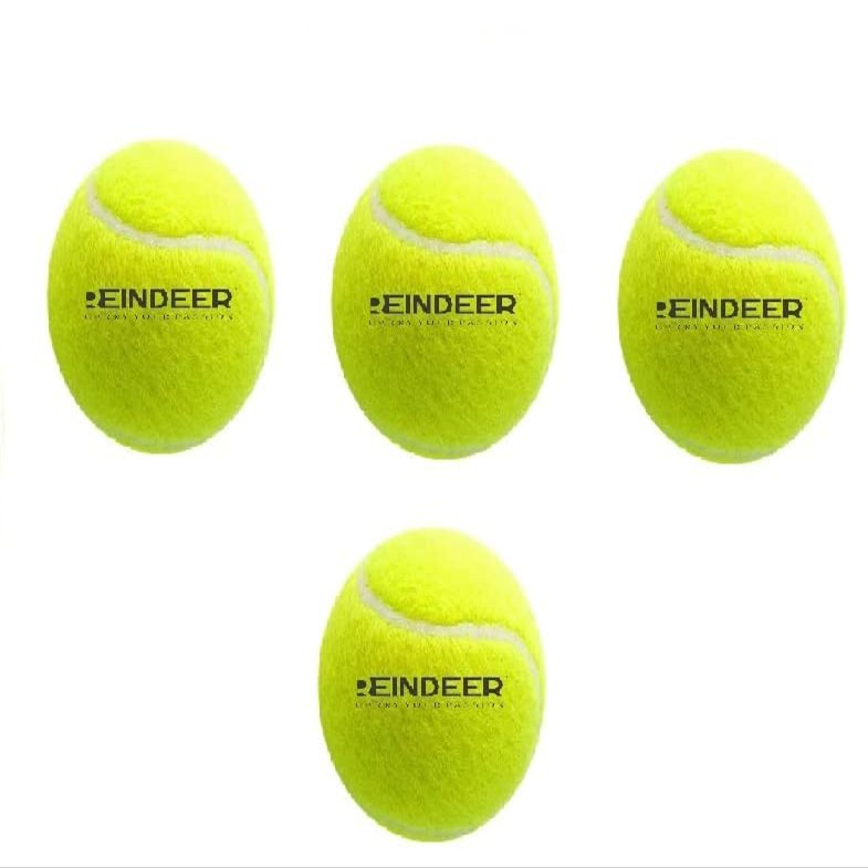 REINDEER Cricket Rubber Balls for Practice l Match A Grade Ball l Light Weight Tennis Ball (Pack of 4) (Green)