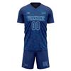 Custom Soccer Jerseys Youth Men Soccer Team Uniforms with Name,Number,Logo, Personalized Jersey Fan Gift view 2