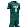 Custom Soccer Jerseys Youth Men Soccer Team Uniforms with Name,Number,Logo, Personalized Jersey Fan Gift view 3