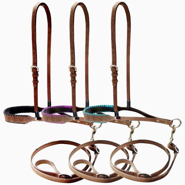 Showman Rough-Out Leather Noseband Tie Down w/Rawhide Lacing (Teal)