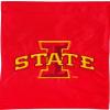 Evergreen Iowa State University Garden Applique Flag- 12.5 x 18 Inches Outdoor Sports Decor for Homes and Gardens view 1