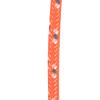 B Baosity Camping 30M 6mm Reflective Tent Rope Guylines, Multifunction Clothesline Canopy Guy Line Easy to Identify at Night for Outdoor Travel Cord, Orange view 2
