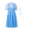 LVLING Womens Oz Dorothy Costume Blue Checked Dress With Hair Bows (Medium) view 2