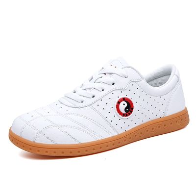 DAFLIN Taekwondo Sport Shoes Lightweight Martial Arts Sneaker for Taekwondo, Boxing, Karate,Kung Fu, Taichi (Color : White, Size : 43 EU)