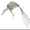 JACKALL Soul Shad 58SR-SP Site Bottom Shrimp Type II view 1