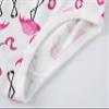 Barara King Soft Cotton Panties Little Girls Undies Assorted Underwear (Pack of 6) Size 5 view 4