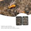 40pcs Fly Fishing Lure, Strong Toughness Artificial Fly Fishing Kit with Box Bait Fly Fishing Assortments Salmon view 4