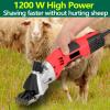 BEESOM Electric Sheep Shears, Sheep Hair Trimmer, Professional Horse Care Animal Shearing Machine, Farm Livestock Grooming Kit Hair Cutting, 6 Speeds Control, Sheep Trimmer,220V-9straightteeth view 3