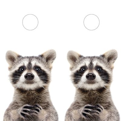 Pair of Cornhole Board Wraps - Curious Racoon- Laminated - Weatherproof and Waterproof - Easy to Apply