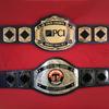 Championship Belt Customizable Wrestling Belt Fully Personalized For All Sports - Custom Wrestling Championship Belt (2mm Zinc) view 4
