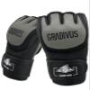 MMA All-Combat Gloves by GRADIVUS (L) view 1