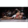 MMA All-Combat Gloves by GRADIVUS (L) view 4