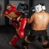 Martial Arts SparPro Knee Pads by GRADIVUS (L) view 3