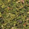 Dried Chopped String Beans by Its Delish, 24 OZ Jumbo Container | Dehydrated Cut Green Bean Vegetables | Dried Veggies For Cooking, Camping, Emergency Supply, Soups, Stir Fry | No Salt, Vegan, Kosher view 2