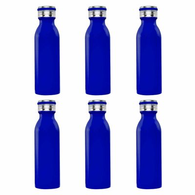 DISCOUNT PROMOS Stainless Steel Water Bottles by Echo 20 oz. Set of 6, Bulk Pack - Double Wall, Perfect for Coffee, Soda, Other Hot & Cold Beverages - Blue