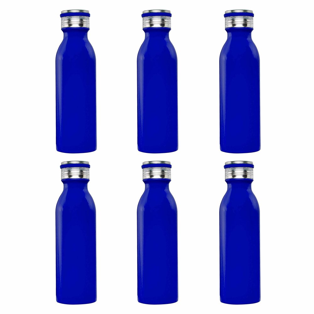 DISCOUNT PROMOS Stainless Steel Water Bottles by Echo 20 oz. Set of 6, Bulk Pack - Double Wall, Perfect for Coffee, Soda, Other Hot & Cold Beverages - Blue