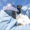Giro Article II Adult Snow Goggle - Grey Botanical Strap with VIVID Haze/VIVID Infrared Lenses view 4
