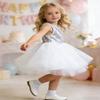 AGQT Baby Girls Birthday Tutu Dress Sequin Tulle Soft Lined Formal Princess Dresses for Party Wedding Silvery White 12-18 Months view 4