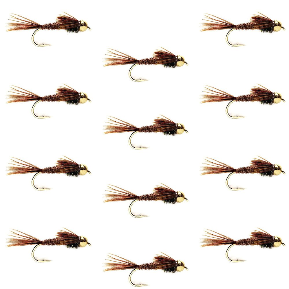 The Fly Fishing Place Bead Head Pheasant Tail Nymph Fly Fishing Flies - Trout and Bass Wet Fly Pattern - 12 Flies Hook Size 10 - One Dozen
