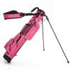 Stand Bags1-Blue+Rose red view 1