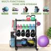 Pro-Series Mobile Dumbbell Rack & All-in-One Gym Storage Organizer with Locking Wheels, Adjustable Shelves & 400LB Capacity view 4