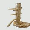 Wing Chun Wooden Dummy with Base and Chest with Lid (Rustik) view 1