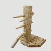 Wing Chun Wooden Dummy with Base and Chest with Lid (Rustik) view 3