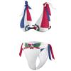 TAIZIYEAH Bikini Sets for Women Dominican Flag Bikini Sexy Push Up Two Piece Triangle Bikini Swimsuits 2XL view 3