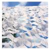 White Camouflage Net, Snow Camo Netting 2x3m, 5x6m, 6x8m, 8x8m Hunting Military Net Indoor Outdoor Decoration Garden Pergola Camping Gazebo, Shade Net, Car Cover, Reinforced Camouflage Netting ( Size view 3