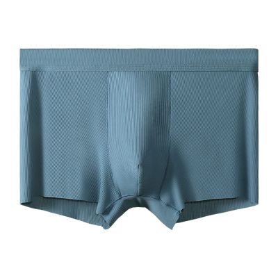 URROA Mens Briefs Underwear Men's Ice Silk Underwear Breathable Summer Thin Boxer Sexy Comfortable Boxer Shorts,blue,XL