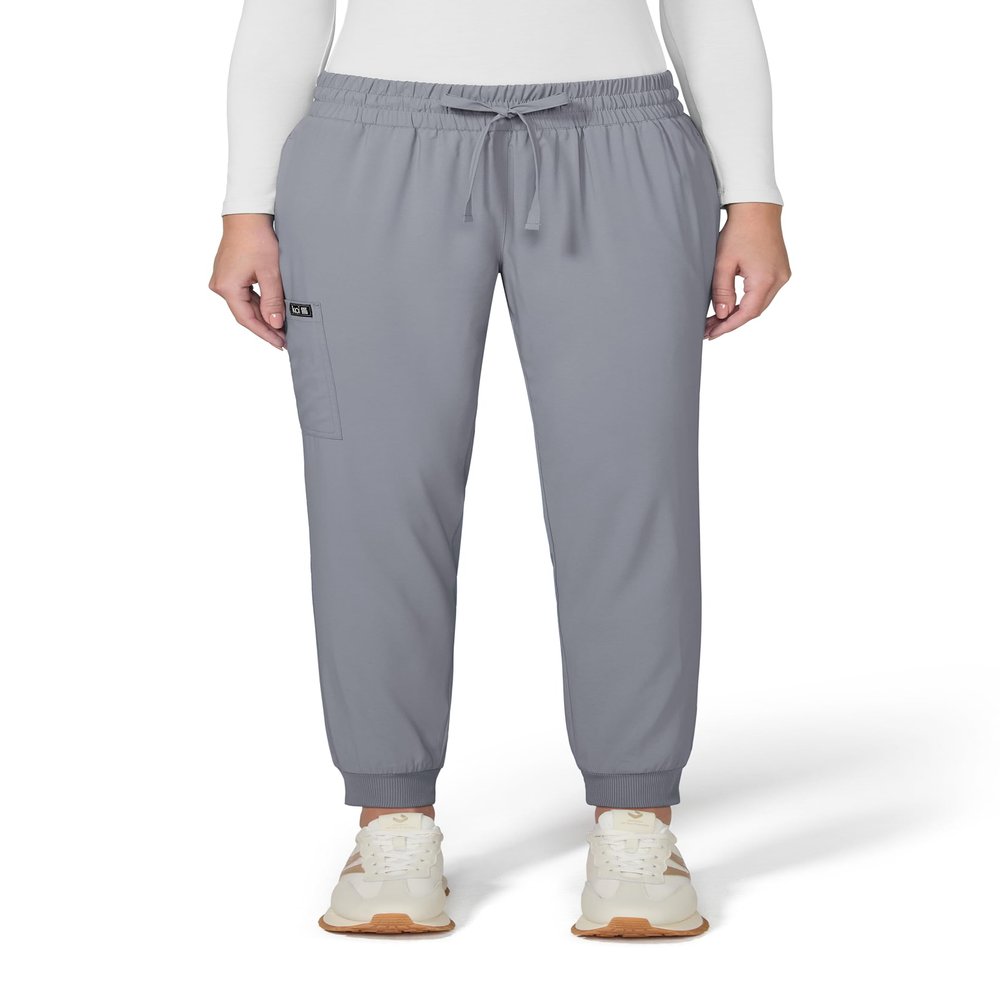 KOI Basics Gemma Women's 5-Pocket Stretch Jogger Platinum Grey Large Petite