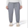 KOI Basics Gemma Women's 5-Pocket Stretch Jogger Platinum Grey Large Petite view 1