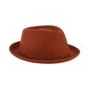 Christian Siriano New York Fedora Hat, Wool Felt Wide Brim Fedora Fashion Hat with Paper Clip Chain Band, Rust, One Size view 4