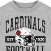 Gerber NFL Toddler Boys' Short Sleeve Tee Shirt, Arizona Cardinals, 2T view 4
