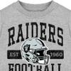 Gerber NFL Toddler Boys' Short Sleeve Tee Shirt, Las Vegas Raiders, 4T Team Color view 4
