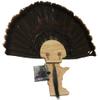 Esh Turkey Fan Mount Kit - Customized State Turkey Tail Mounting Plaque - Natural Oak Wood - Minnesota view 1