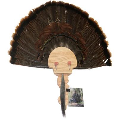 Esh Turkey Fan Mount Kit - Customized State Turkey Tail Mounting Plaque - Natural Oak Wood - New Jersey