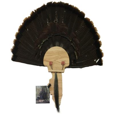 Esh Turkey Fan Mount Kit - Customized State Turkey Tail Mounting Plaque - Natural Oak Wood - Illinois