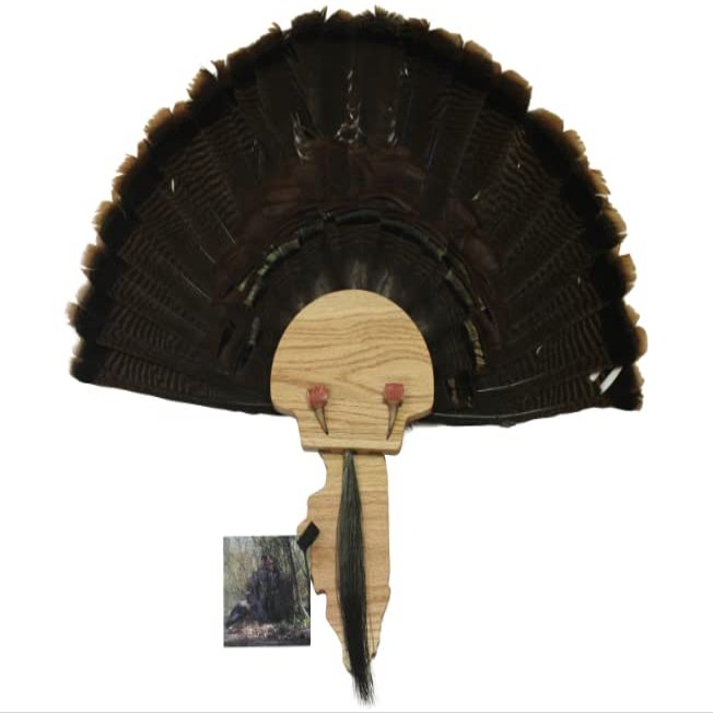 Esh Turkey Fan Mount Kit - Customized State Turkey Tail Mounting Plaque - Natural Oak Wood - Illinois
