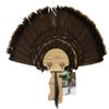 Esh Turkey Fan Mount Kit - Customized State Turkey Tail Mounting Plaque - Natural Oak Wood - Mississippi view 1