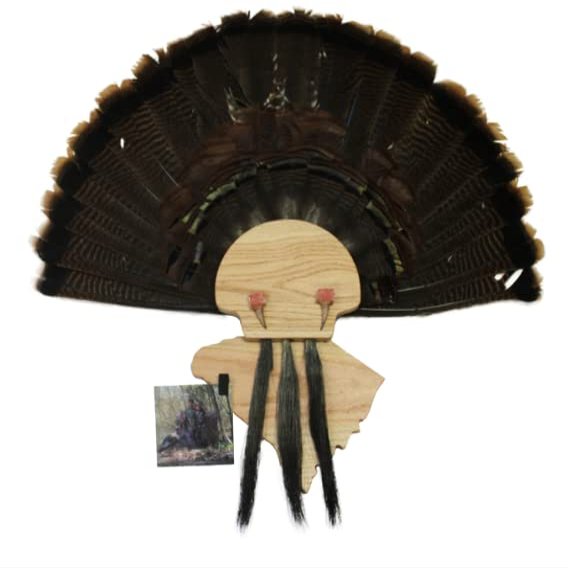 Esh Turkey Fan Mount Kit - Customized State Turkey Tail Mounting Plaque - Natural Oak Wood - South Carolina