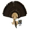 Esh Turkey Fan Mount Kit - Customized State Turkey Tail Mounting Plaque - Natural Oak Wood - Texas view 1