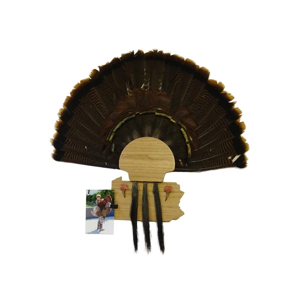 Esh Turkey Fan Mount Kit - Customized State Turkey Tail Mounting Plaque - Natural Oak Wood - North Carolina