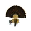 Esh Turkey Fan Mount Kit - Customized State Turkey Tail Mounting Plaque - Natural Oak Wood - North Carolina view 1