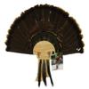 Esh Turkey Fan Mount Kit - Customized State Turkey Tail Mounting Plaque - Natural Oak Wood - Indiana view 1